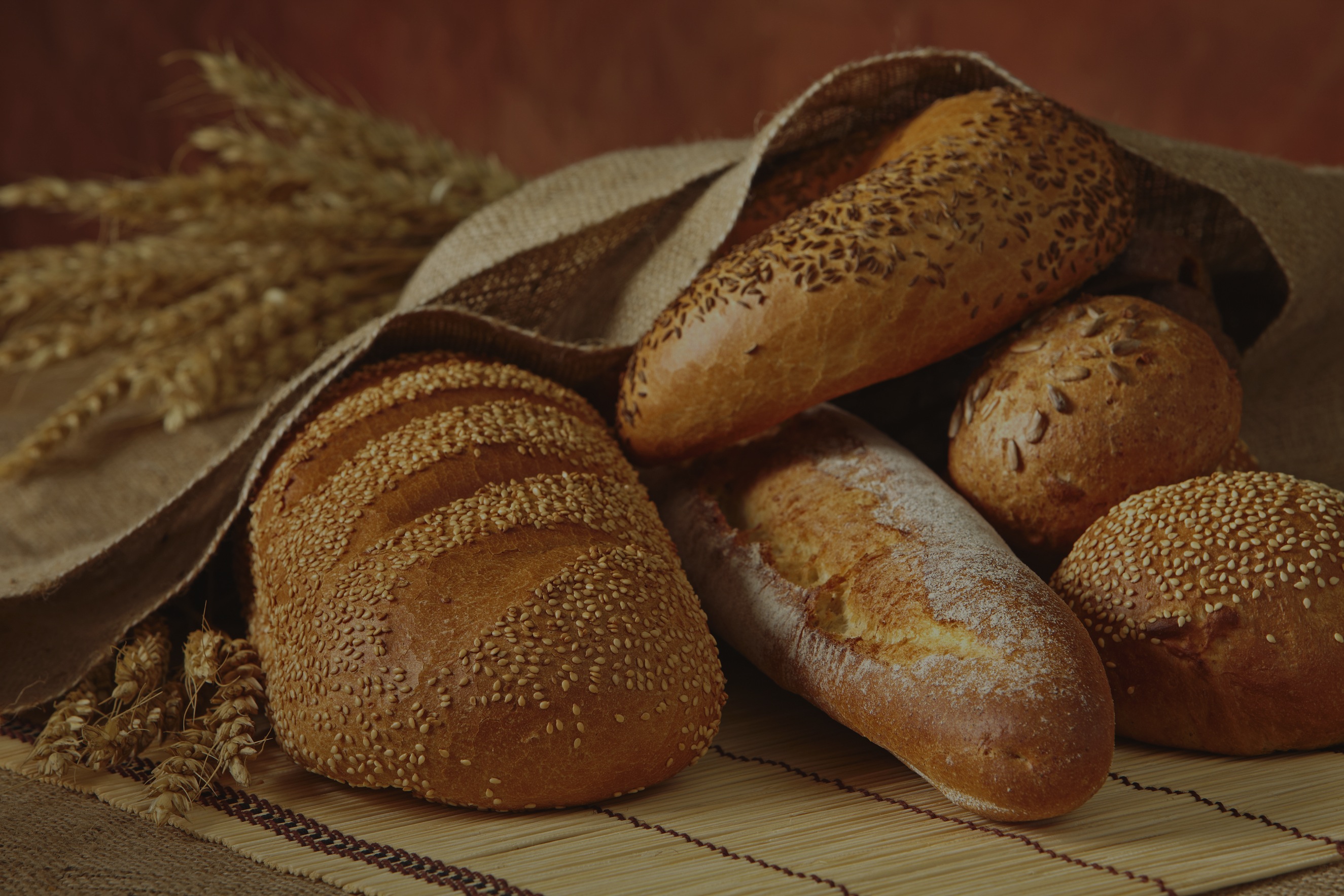 Give Us This Day Our Daily Bread Sermon Text Joe Iovino